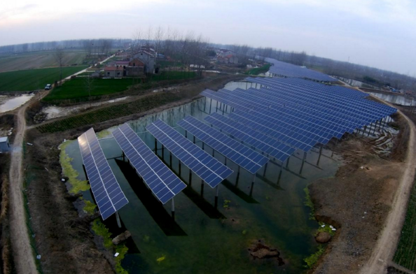 上可發電下可養殖——天合光能擴大魚塘收益改善基礎設施