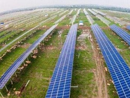 浙江寧波：光伏農業不僅減排還促進農民增收