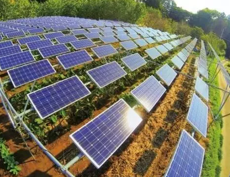 一塊土地 兩份收入!還是光伏農(nóng)業(yè)最靠譜!