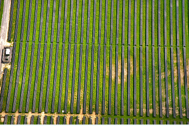 2017年能源監(jiān)管清單明確 對(duì)光伏的好壞參半，影響不一