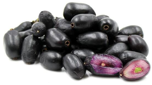 聽說了嗎！這種印度水果竟然能制造低成本太陽能電池