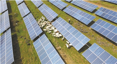 江蘇:用地不沖突 農光互補示范項目建成