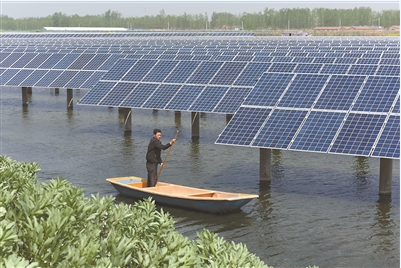 江蘇:用地不沖突 農光互補示范項目建成