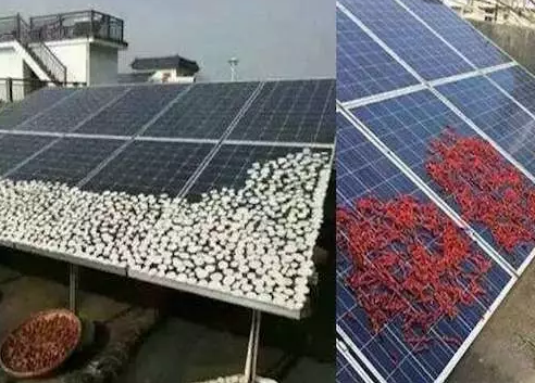 農村光伏電站致命殺手是遮擋,這幾樣遮擋萬萬要不得!