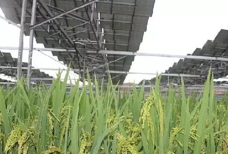 夏季能提高光伏電站發電量不假，但也會降低發電量！用戶該怎么辦？