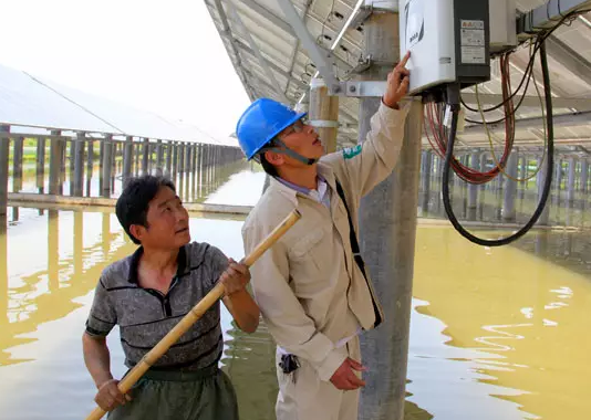 安裝了光伏電站后,居然讓60畝蟹塘從虧損到年入百萬!