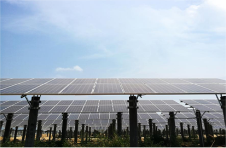 5省11縣1631并網點 陽光電源再助5萬多貧困戶脫貧致富