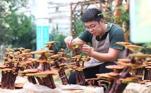 90后小伙趕上光伏好時代,回鄉創業年入百萬!