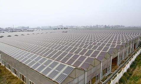 為什么光伏農業大棚備受追捧?主要有這幾大方面原因