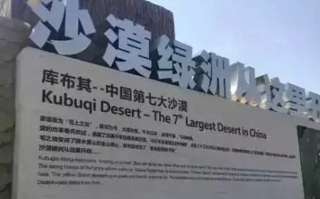 光伏板下搞養殖拼出“沙漠綠洲” 給21億人帶來希望!