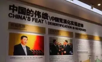 光伏板下搞養殖拼出“沙漠綠洲” 給21億人帶來希望!