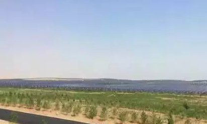 光伏板下搞養殖拼出“沙漠綠洲” 給21億人帶來希望!