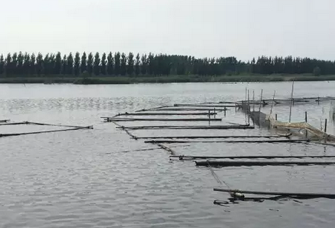 濟寧光伏領跑者基地930并網或基本無望,領跑者前期基地規劃需慎重