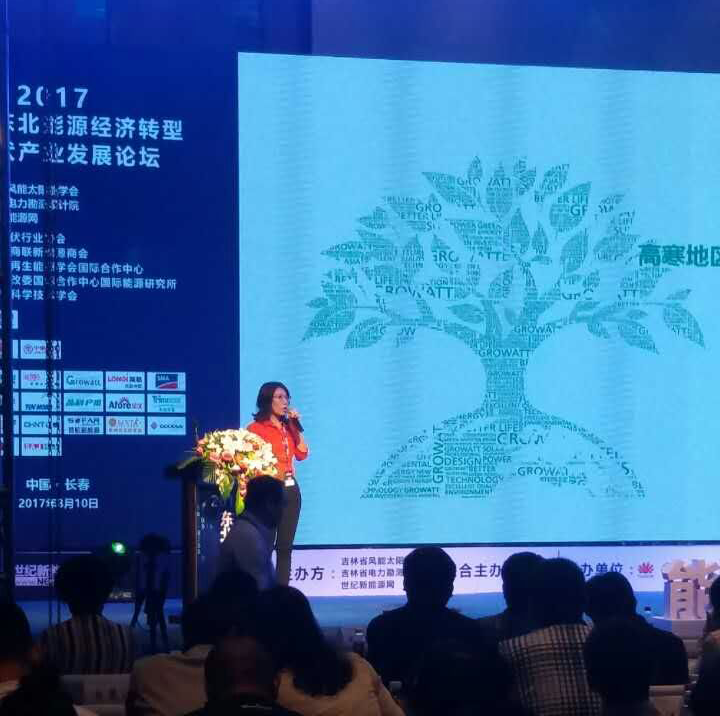 高寒地區挑戰多?分布式項目光伏逆變器的可靠性是關鍵!