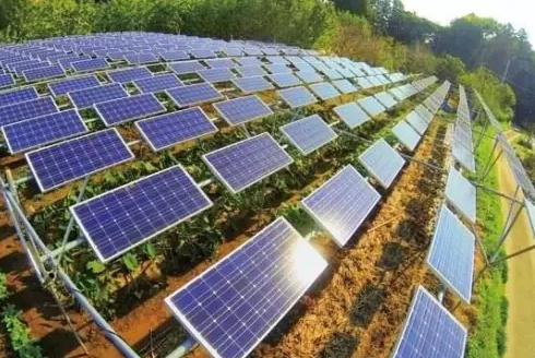 分布式光伏發電市場真的爆發了嗎?還缺點啥?