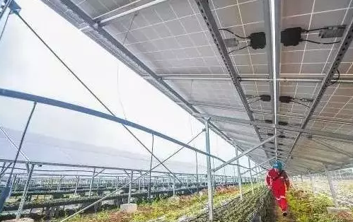 光伏農(nóng)業(yè)——最新經(jīng)濟(jì)熱點(diǎn),遍地機(jī)遇你抓住了嗎?