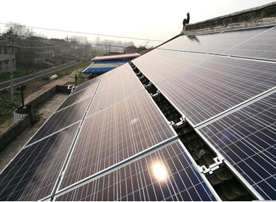 勤懇堅持 筑夢愛康綠色家園