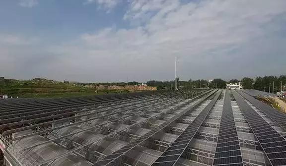 人民日?qǐng)?bào):光伏農(nóng)場(chǎng)里的“脫貧賬”!