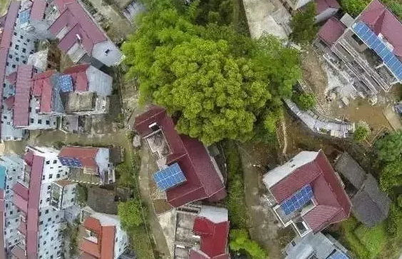 國網接入光伏扶貧電站9003兆瓦,惠及138.5萬家庭