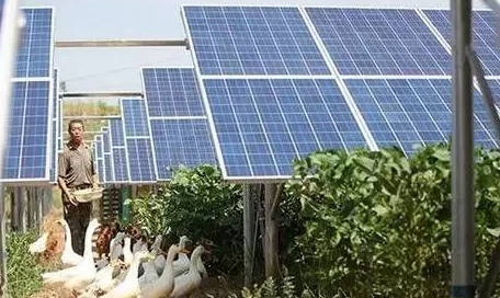 江西吉安“農光互補”:棚頂光伏發電棚內種菜