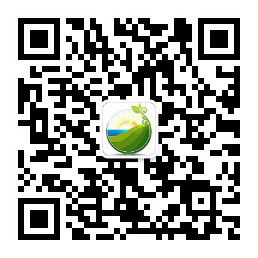 PVIC 2017光伏創新大會將于11月8日-9日在上海舉辦