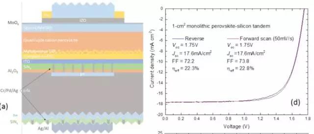 鈣鈦礦/同質結晶硅串聯疊層電池效率超22%