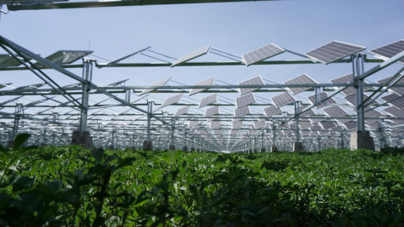 同道同景,共創共享|同景新能源攜手PVIC 2017 共筑光伏創新發展之路