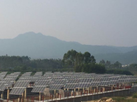 光伏扶貧花開廣西 發電效益高出20%