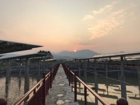 光伏扶貧花開廣西 發電效益高出20%