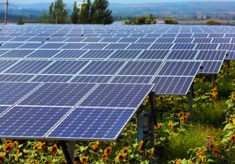 如何做一家靠譜的分布式光伏開發公司