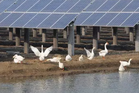 2017”光伏下鄉(xiāng)“開啟了萬(wàn)億級(jí)光伏市場(chǎng)!