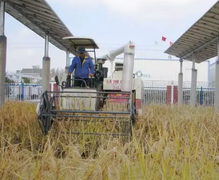 2017”光伏下鄉(xiāng)“開啟了萬(wàn)億級(jí)光伏市場(chǎng)!