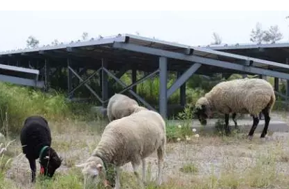 2017”光伏下鄉(xiāng)“開啟了萬(wàn)億級(jí)光伏市場(chǎng)!