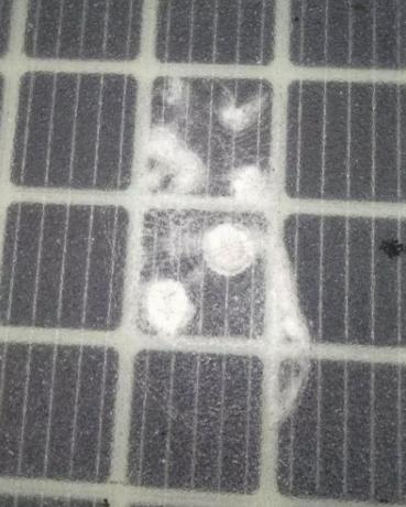 開通僅三天 全球首條光伏高路公路遭人為破壞!