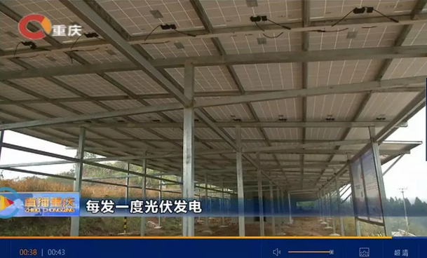 光伏發電又多了一項補貼！二氧化碳零排放補貼！