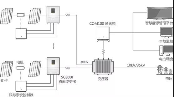 用雙面組件,請配雙面逆變器