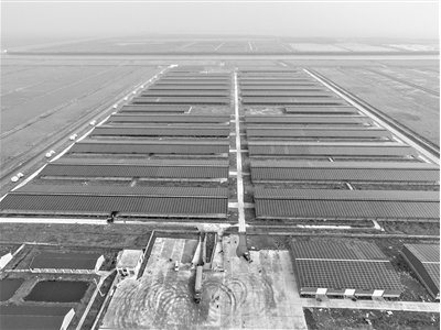 浙東最大&ldquo;牧光互補&rdquo;牛棚發電站項目投入使用