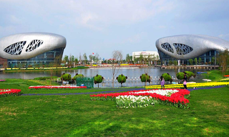 百家知名光伏企業集聚揚中,探討商業合作模式,推動綠色能源發展