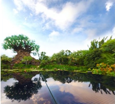 太陽能樂園來了！華特迪士尼將建50MW光伏電站