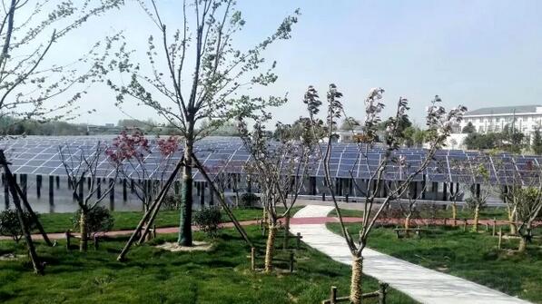 江蘇省高速公路首批互通區分布式光伏電站并網投運