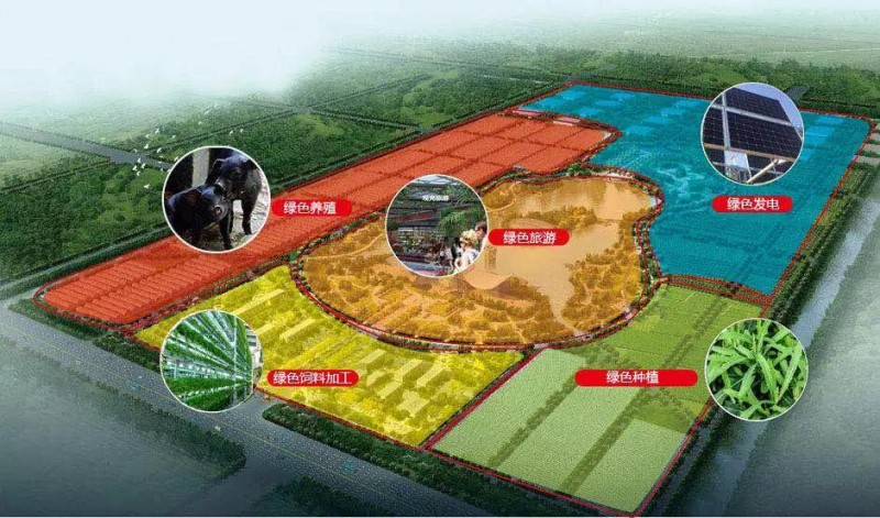 誠邀 | 中來在上海新國際博覽中心W5-330等您!