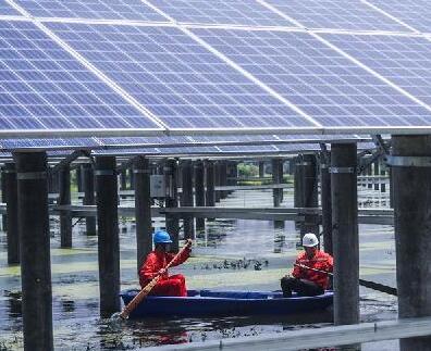 浙江長興:光伏板下養小龍蝦 “一地兩用”收益多