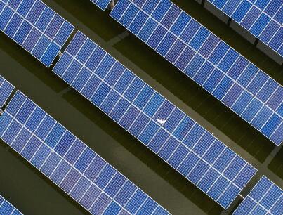 浙江湖州新能源前五月裝機143萬千瓦 千畝魚塘漁光互補顯美景