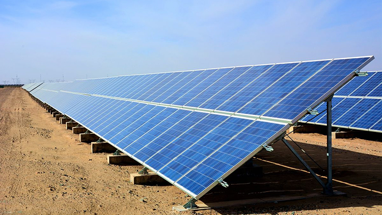 近日,中廣核樂陵農(nóng)光互補扶貧協(xié)作項目通過省、市專家組現(xiàn)場驗收,實現(xiàn)并網(wǎng)發(fā)電。