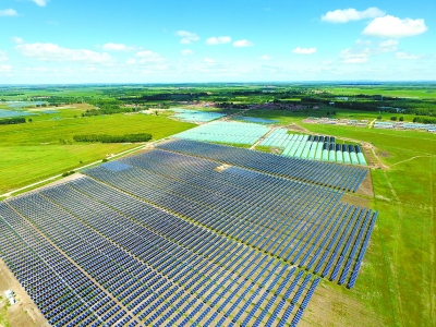 “鐵桿莊稼”:頂上發電 地上養牛