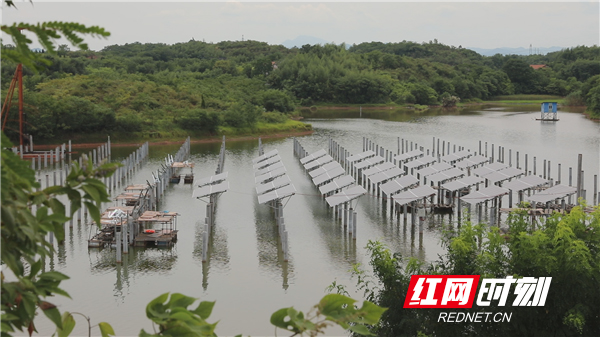 湖南衡陽縣：扶貧電站并網發電 8109個貧困戶將受益