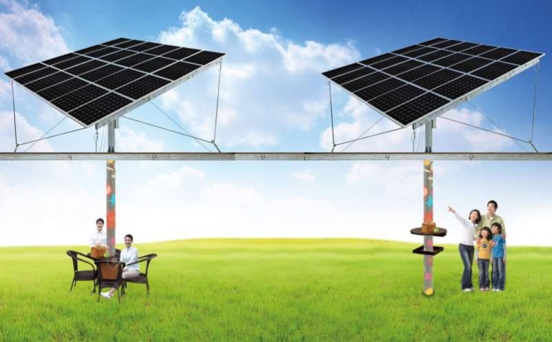 行業面臨困境:“架高+追日”開辟降本增效新路徑