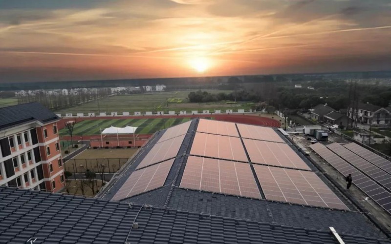 上海松江區打造首個“綠電校園”:相當于每年種樹6000棵