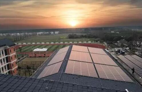 綠色低碳理念從娃娃抓起!看上海這所學校如何做到每年植樹6000棵?