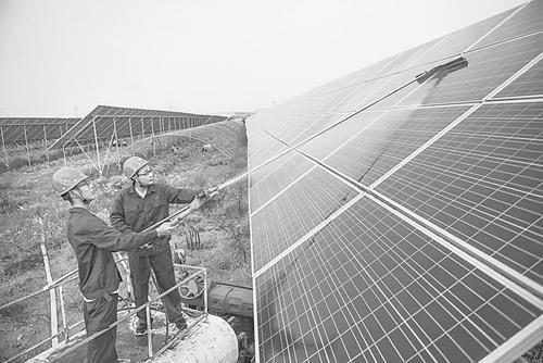 河北棗強縣積極推進&ldquo;農光互補&rdquo;光伏電站建設